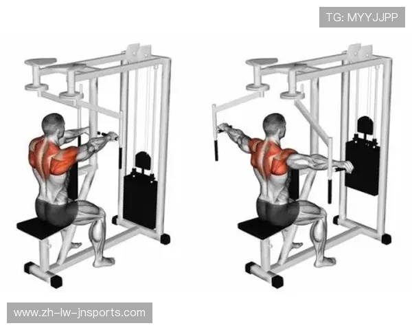 飞鸟健身器材买卖平台一览